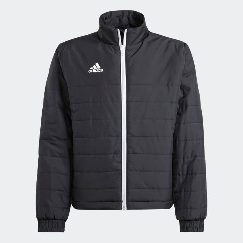 adidas Performance Trainingsjacke »ENT22 LJKTY« von adidas Performance