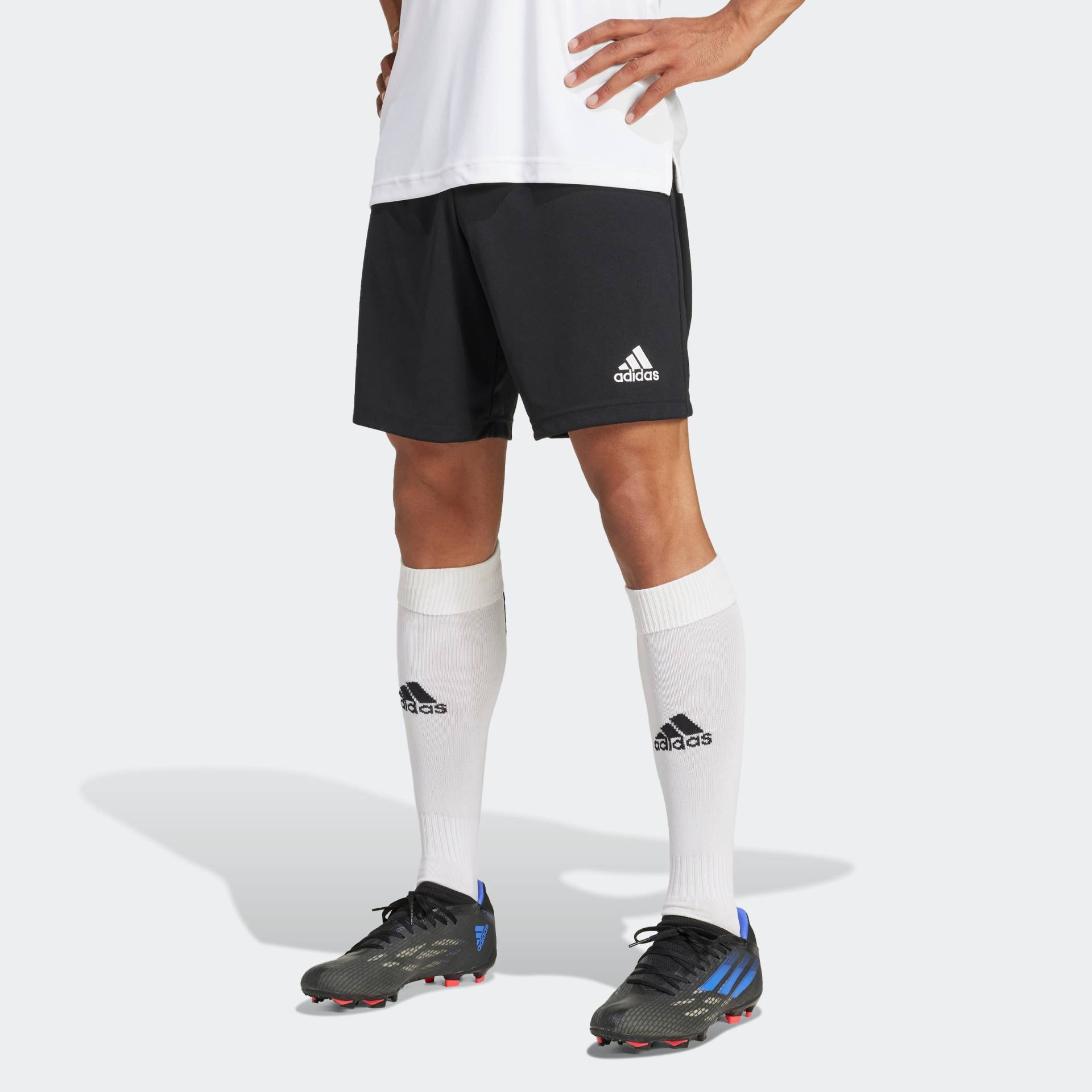 adidas Performance Trainingsshorts »ENT22 SHO«, (1 tlg.) von adidas Performance