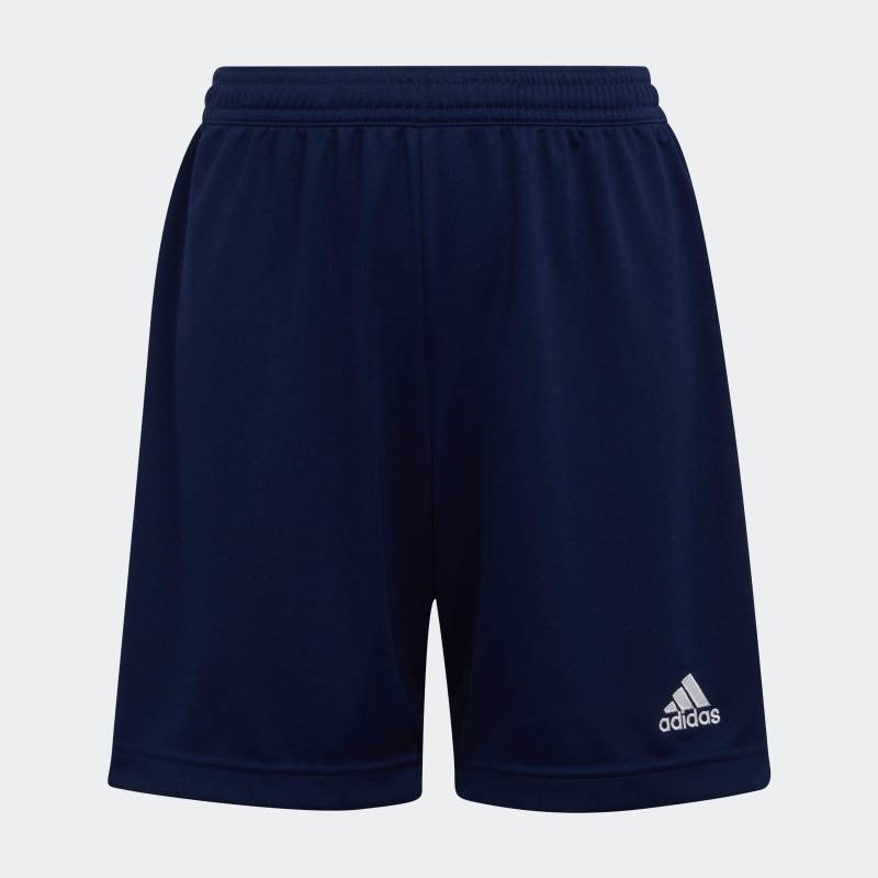 adidas Performance Trainingsshorts »ENT22 SHO Y«, (1 tlg.) von adidas Performance