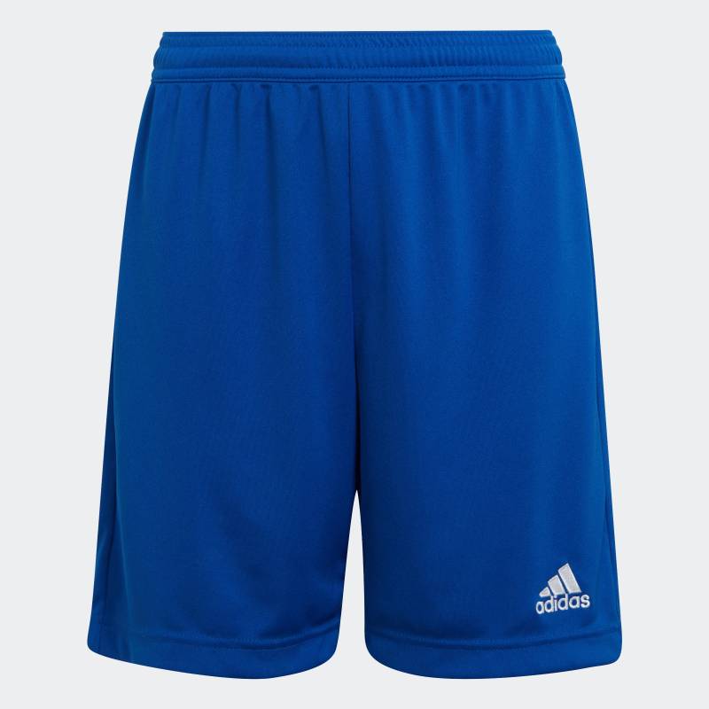 adidas Performance Trainingsshorts »ENT22 SHO Y«, (1 tlg.) von adidas Performance