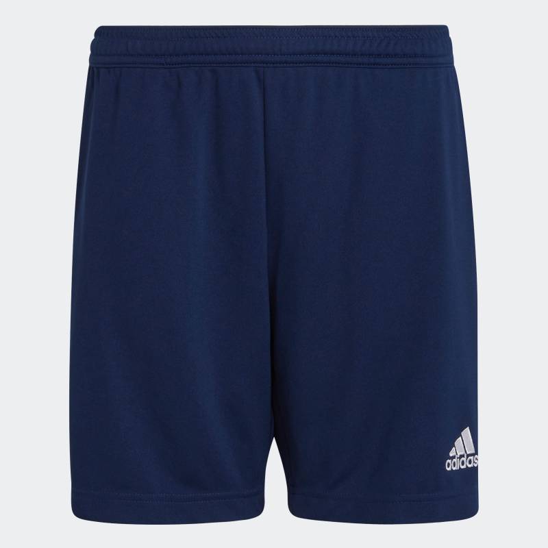 adidas Performance Trainingsshorts »ENT22 TR SHOY«, (1 tlg.) von adidas Performance