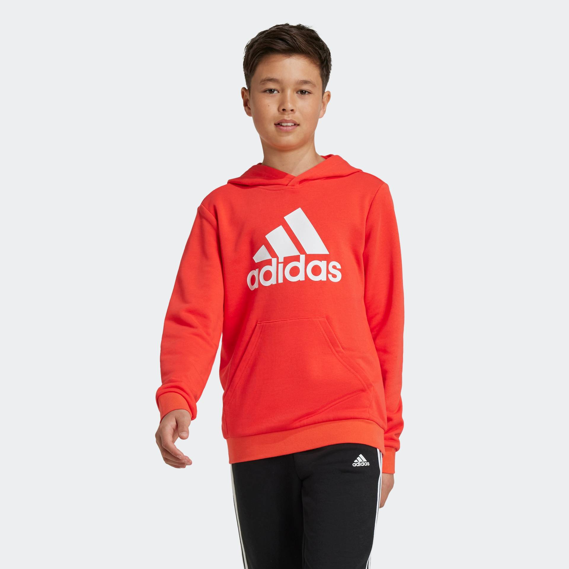 adidas Sportswear Kapuzensweatshirt »BIG LOGO ESSENTIALS COTTON HOODIE« von adidas Sportswear