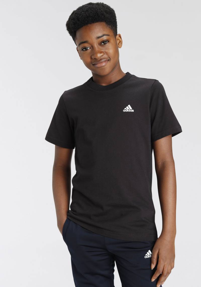 adidas Sportswear T-Shirt »ESSENTIALS SMALL LOGO COTTON« von adidas Sportswear