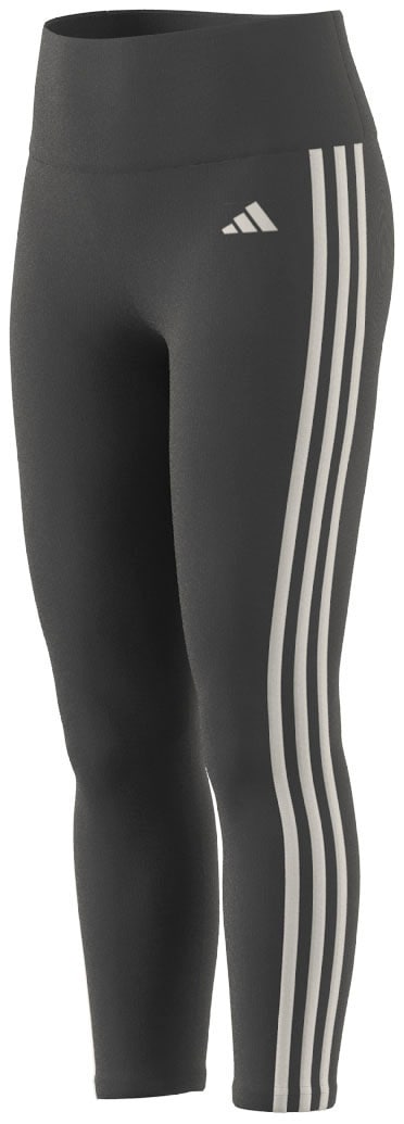 adidas Sportswear Trainingstights »ESSENTIALS AEROREADY 3STREIFEN HIGHWAISTED«, (1 tlg.) von adidas Sportswear