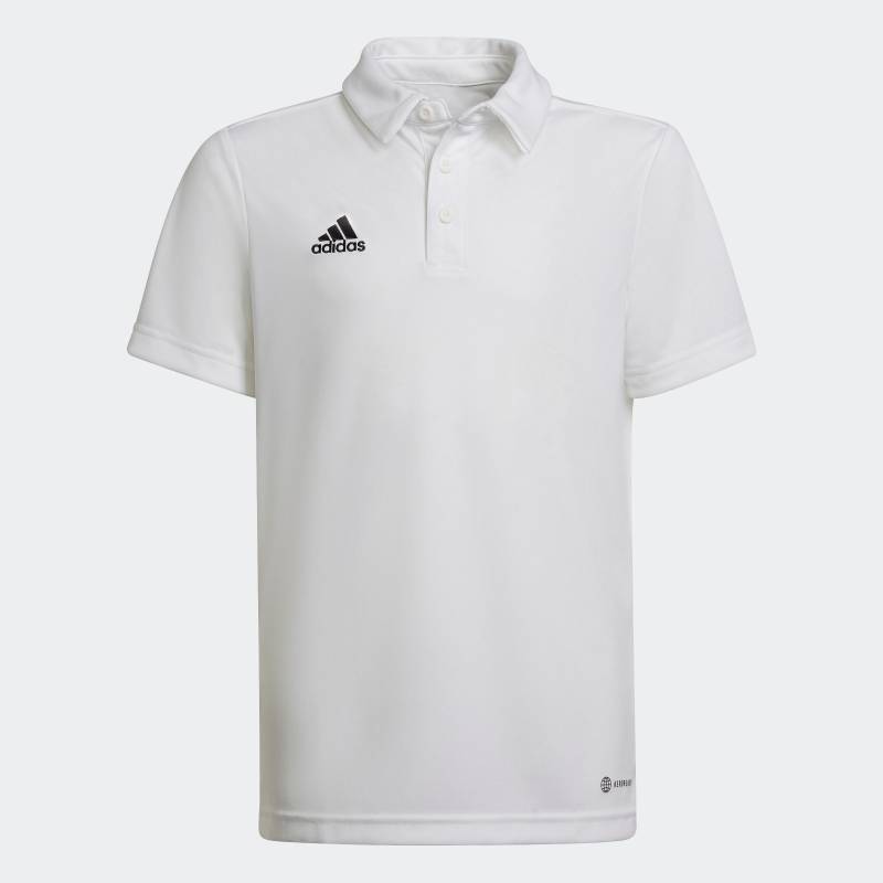 adidas Performance Poloshirt »ENT22 POLO Y« von adidas performance