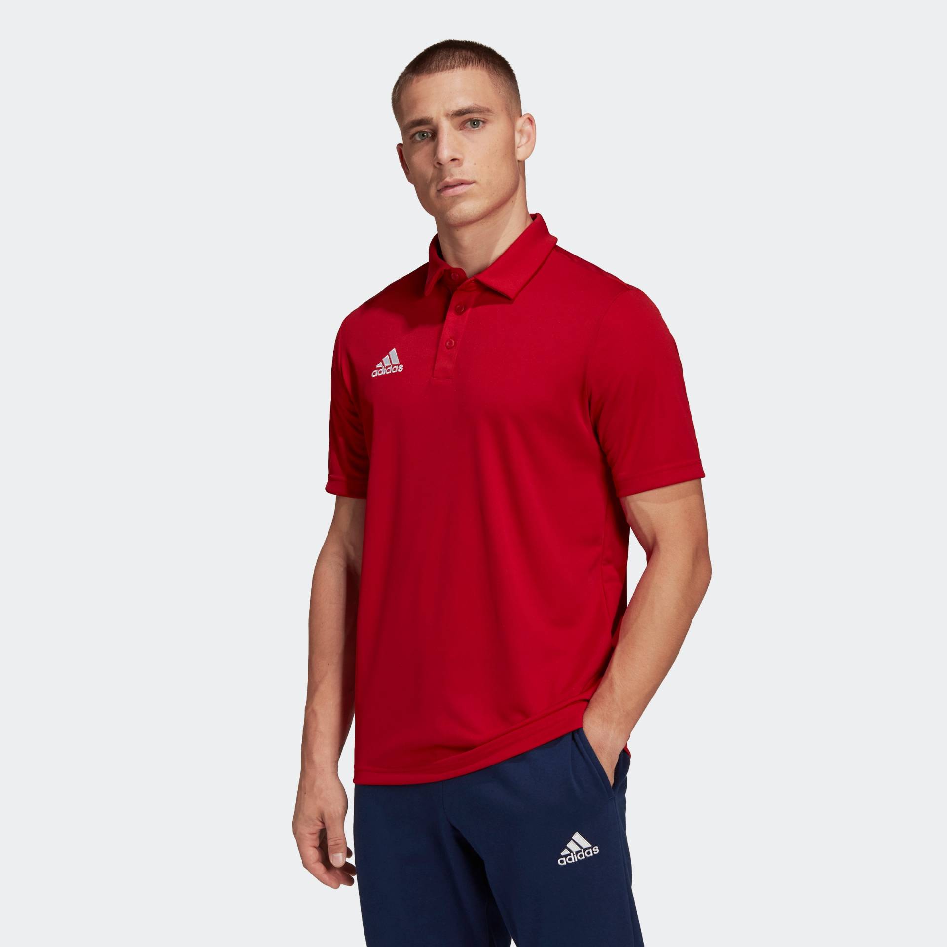 adidas Performance Poloshirt »ENT22 POLO« von adidas performance