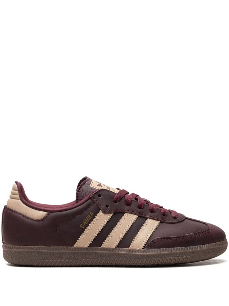 adidas Samba OG "Maroon/Crystal Sand/Gold Metallic" sneakers - Brown von adidas