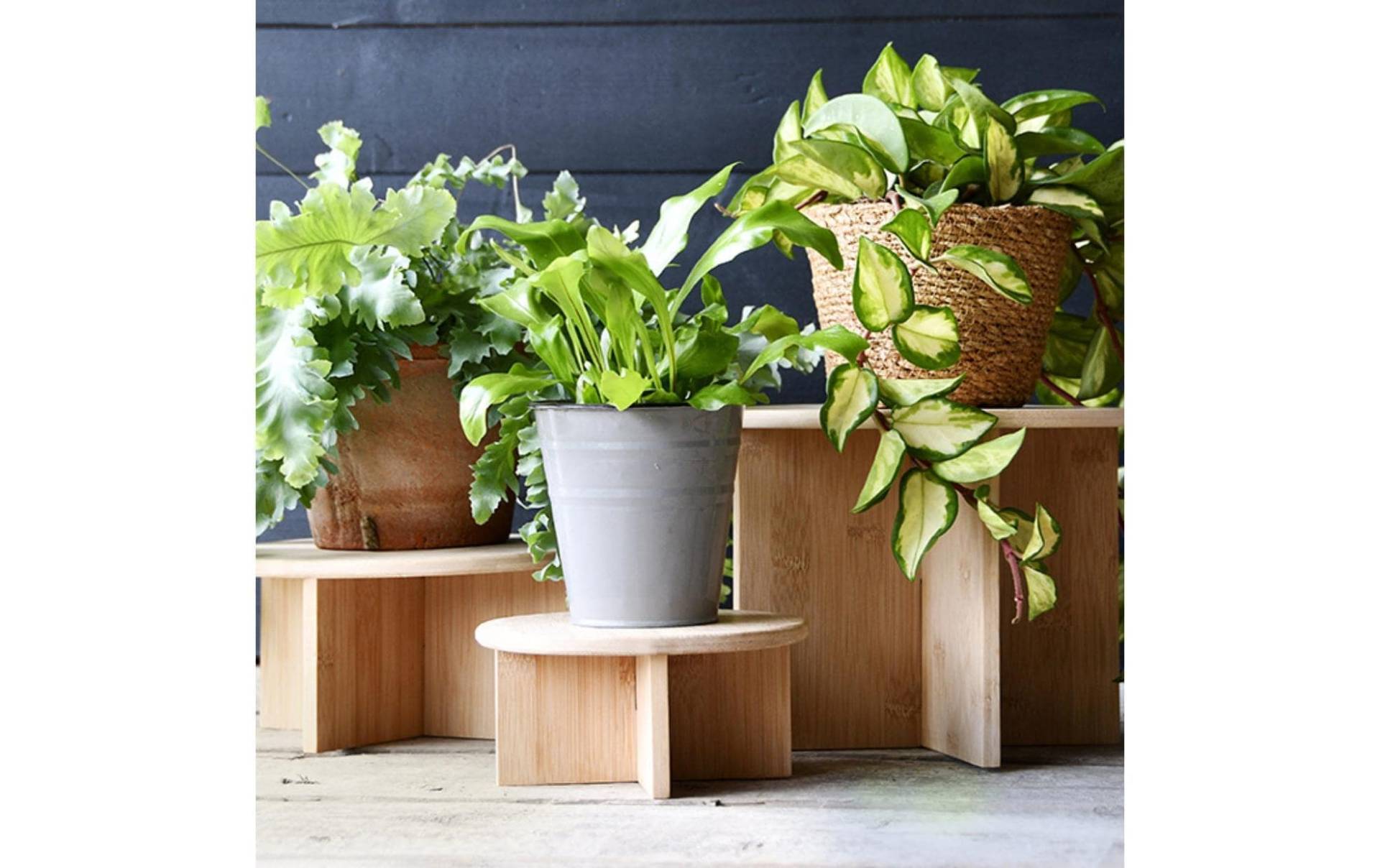 esschert design Blumenständer »L Ø 25 cm, Nature«, Holzart: Bambus (China) esschert design Blumenständer »L Ø 25 cm, Nature«, Holzart: Bambus (China) von esschert design