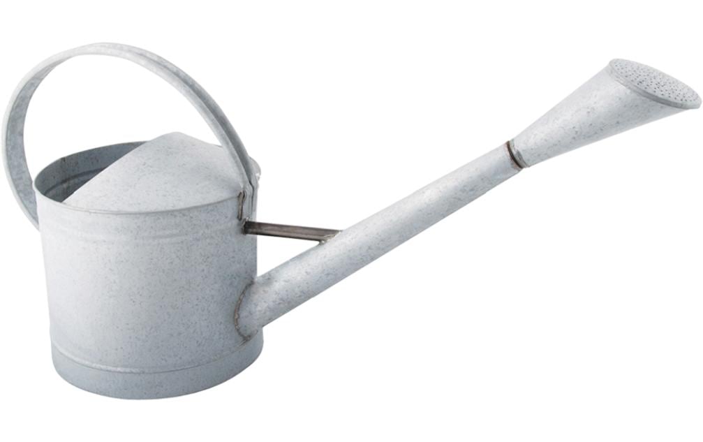 esschert design Giesskanne »Giesskanne 22737 l Z« esschert design Giesskanne »Giesskanne 22737 l Z« von esschert design