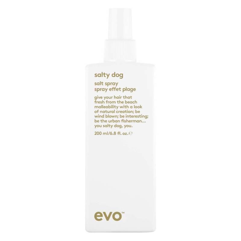 evo style - salty dog salt spray von evo