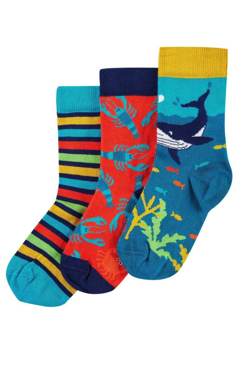 Kinder Socken 3er Pack Deep Water Unisex Multicolor 27/30 von frugi