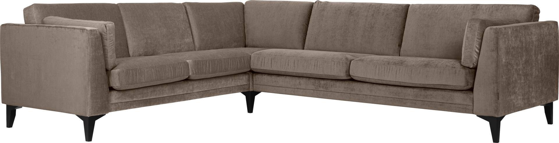 furninova Ecksofa »Avignon«, inklusive 2 Armlehnkissen, im skandinavischen Design von furninova