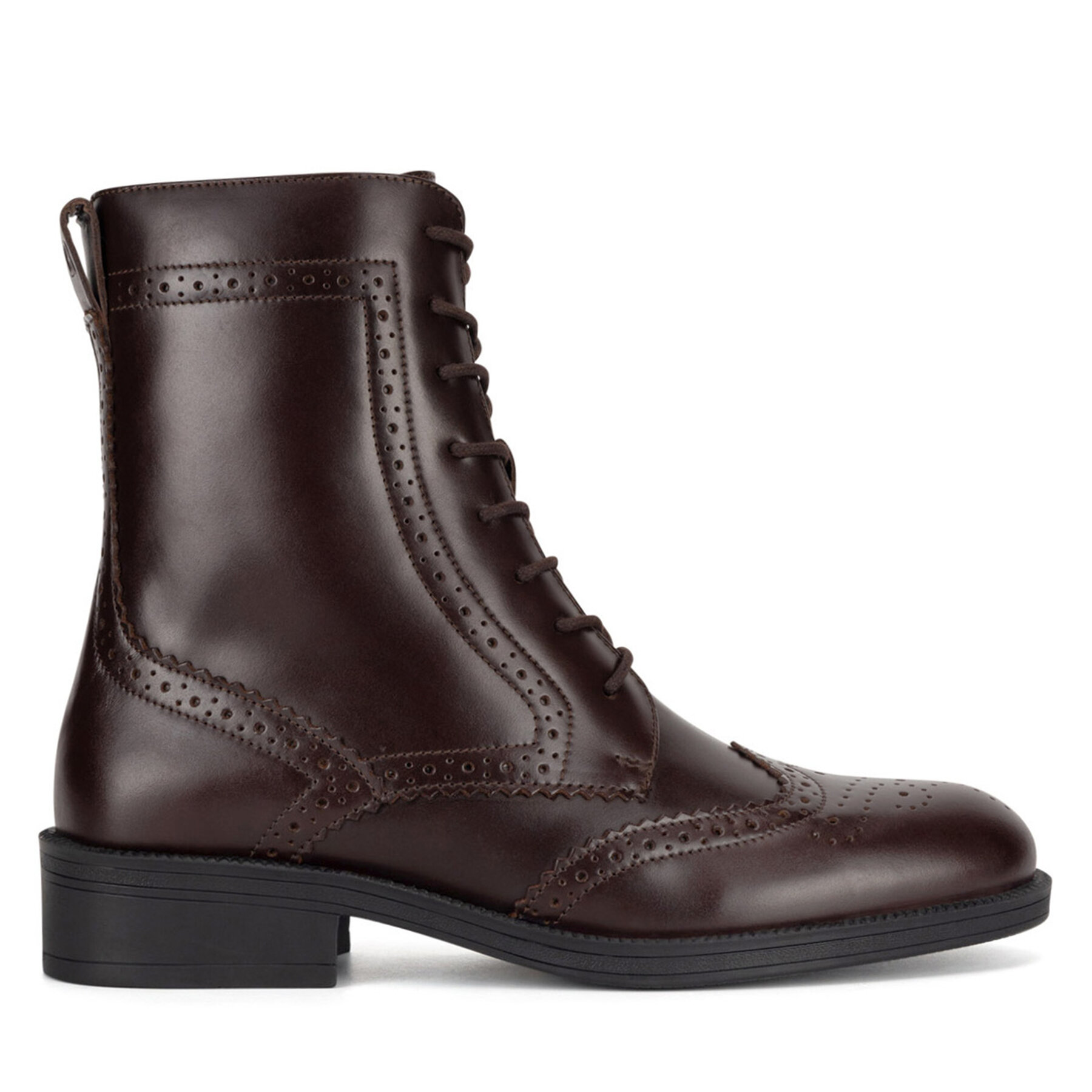 Stiefeletten Gino Rossi PIA-116099 Braun von gino rossi