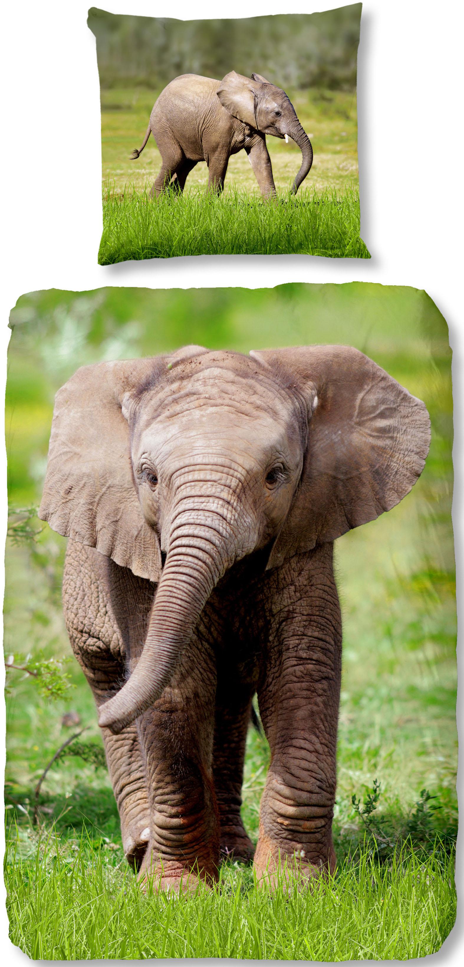 good morning Kinderbettwäsche »Elephant«, mit Elefant von good morning