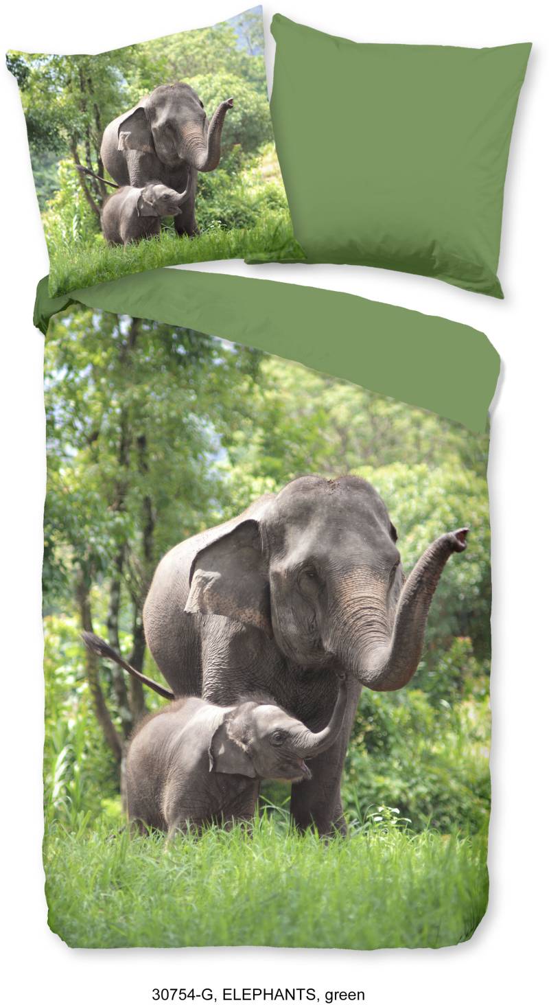 good morning Kinderbettwäsche »Elephants«, Baumwolle, 135x200, Reissverschluss, Wendeoptik, Kind, Elefant, Grün von good morning