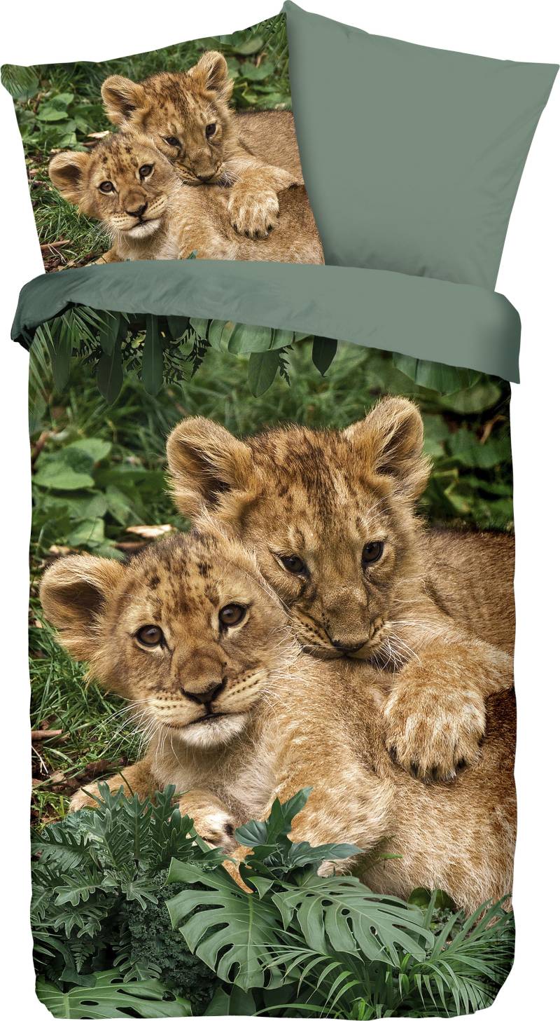 good morning Kinderbettwäsche »Lion Cubs«, 100% Baumwolle, 135x200, Reissverschluss, Wendeoptik, Kind, Löwe, Grün von good morning