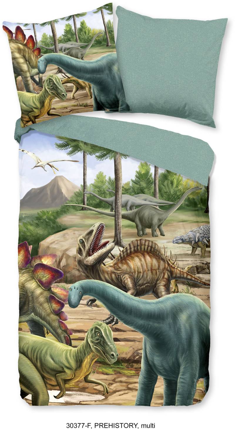 good morning Kinderbettwäsche »Prehistory Dinos«, Biber, 135x200, Weich, Warm, Reissverschluss, Wende, Kind, Junge, Dino von good morning