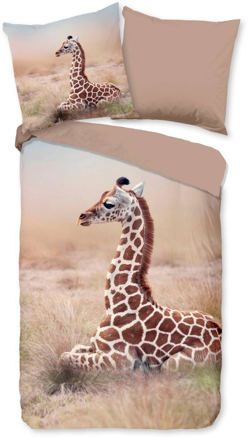 good morning Kinderbettwäsche »Sima«, Baumwolle, 135x200, Reissverschluss, Wendeoptik, Kind, Giraffe, Sand von good morning