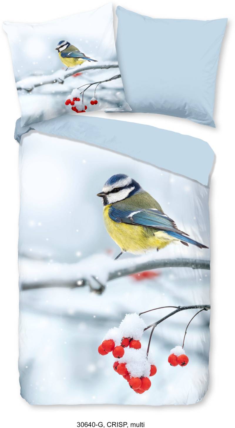 good morning Wendebettwäsche »Crisp«, 100% Baumwolle, 135x200, Reissverschluss, Wendeoptik, Vogel, Winter von good morning