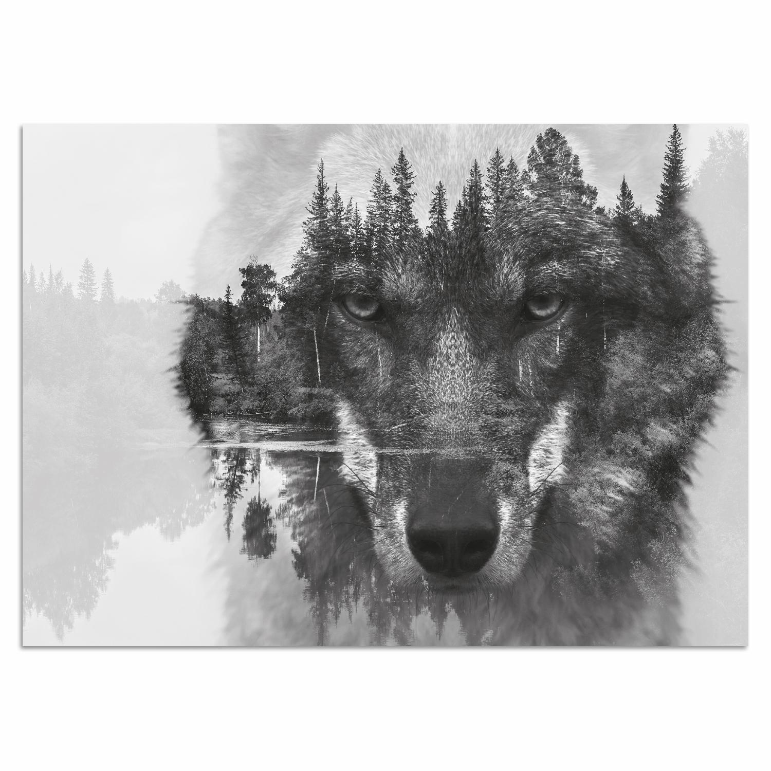 Home affaire Acrylglasbild »Wolf«, Schwarz-Weiss-Tiere-Wolfbilder-Wildtiere-Yosemite Nationalpark-Baum-Baumbilder-See-Seebilder-Seelandschaft, Fine Art-Print in Galeriequalität von home affaire