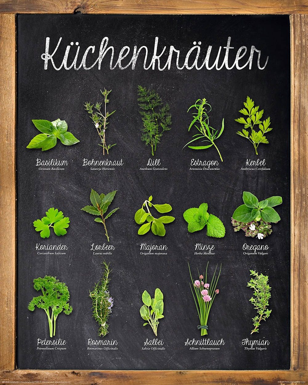 Home affaire Deco-Panel »Küchenkräuter«, 40/50 cm Home affaire Deco-Panel »Küchenkräuter«, 40/50 cm von home affaire