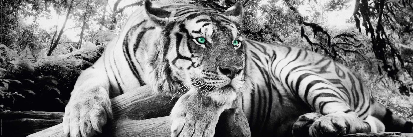 Home affaire Deco-Panel »Tiger guckt dich an« Home affaire Deco-Panel »Tiger guckt dich an« von home affaire