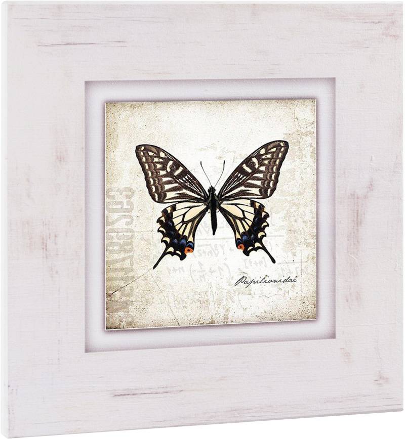 Home affaire Holzbild »Brauner Schmetterling«, 40/40 cm von home affaire