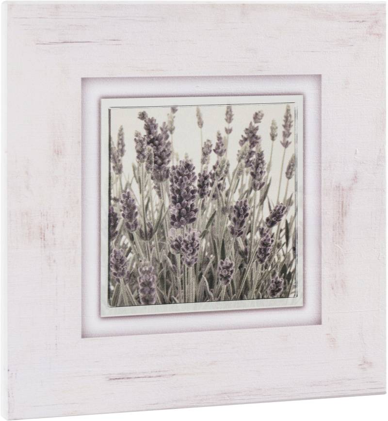 Home affaire Holzbild »Lavendel«, 40/40 cm von home affaire