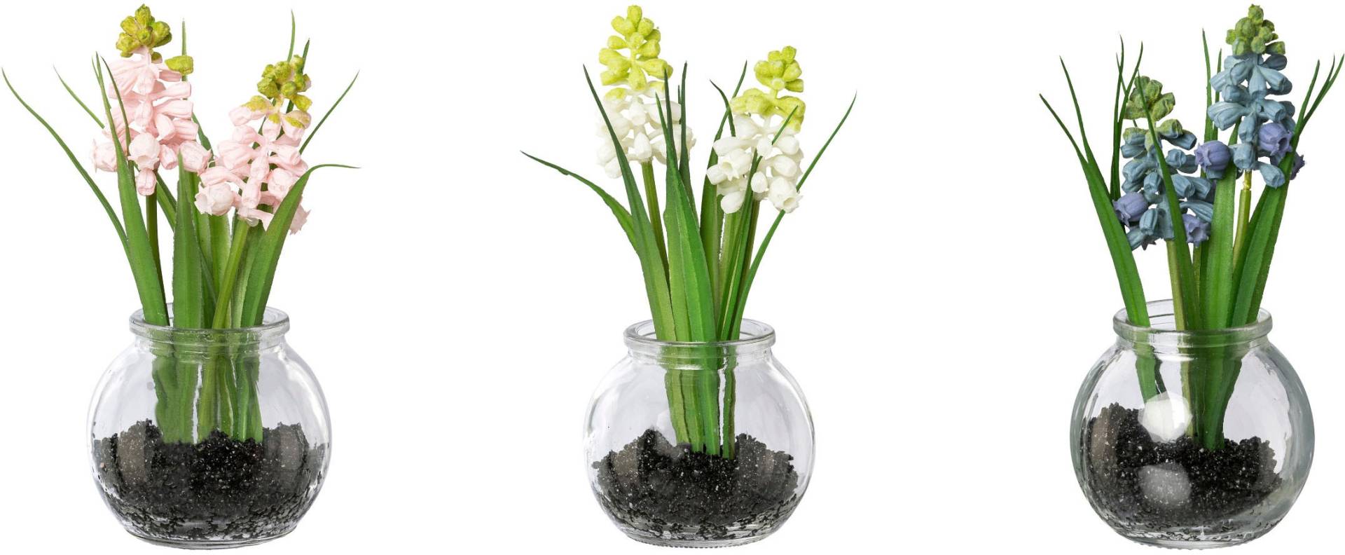Home affaire Kunstblume »Muscari mit Gras« Home affaire Kunstblume »Muscari mit Gras« von home affaire