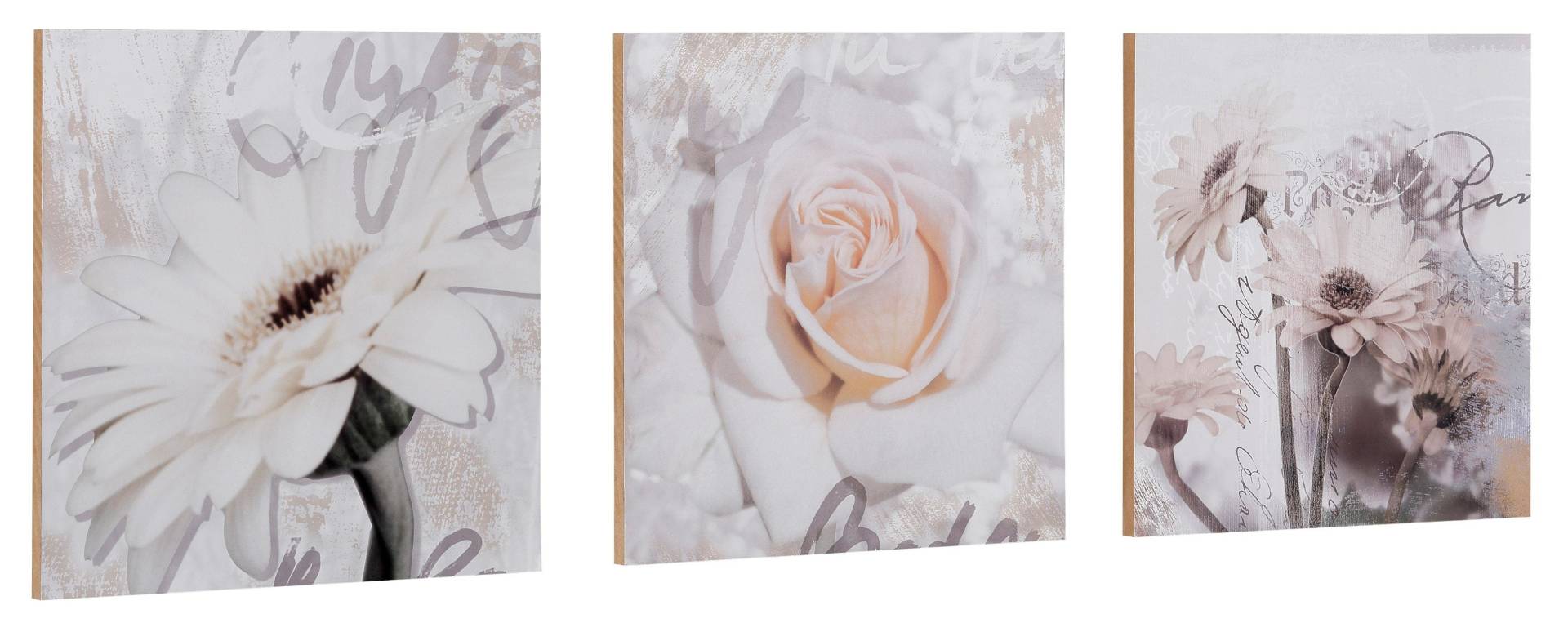 Home affaire Kunstdruck »S., D.: Gerberas Detail«, Blumen, 3-tlg., je 29/29 cm Home affaire Kunstdruck »S., D.: Gerberas Detail«, Blumen, 3-tlg., je 29/29 cm von home affaire
