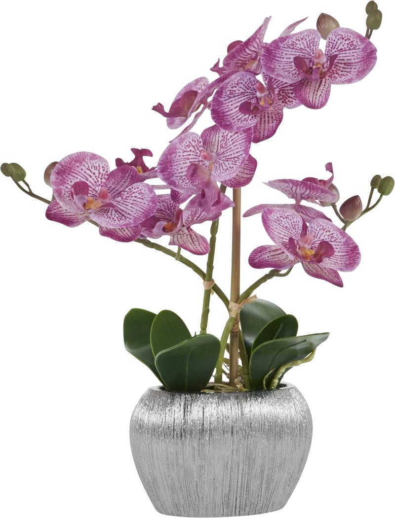 Home affaire Kunstpflanze »Orchidee«, Kunstorchidee, im Topf von home affaire