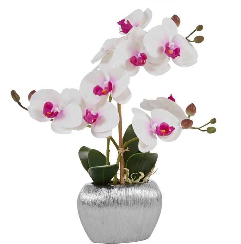 Home affaire Kunstpflanze »Orchidee«, Kunstorchidee, im Topf von home affaire