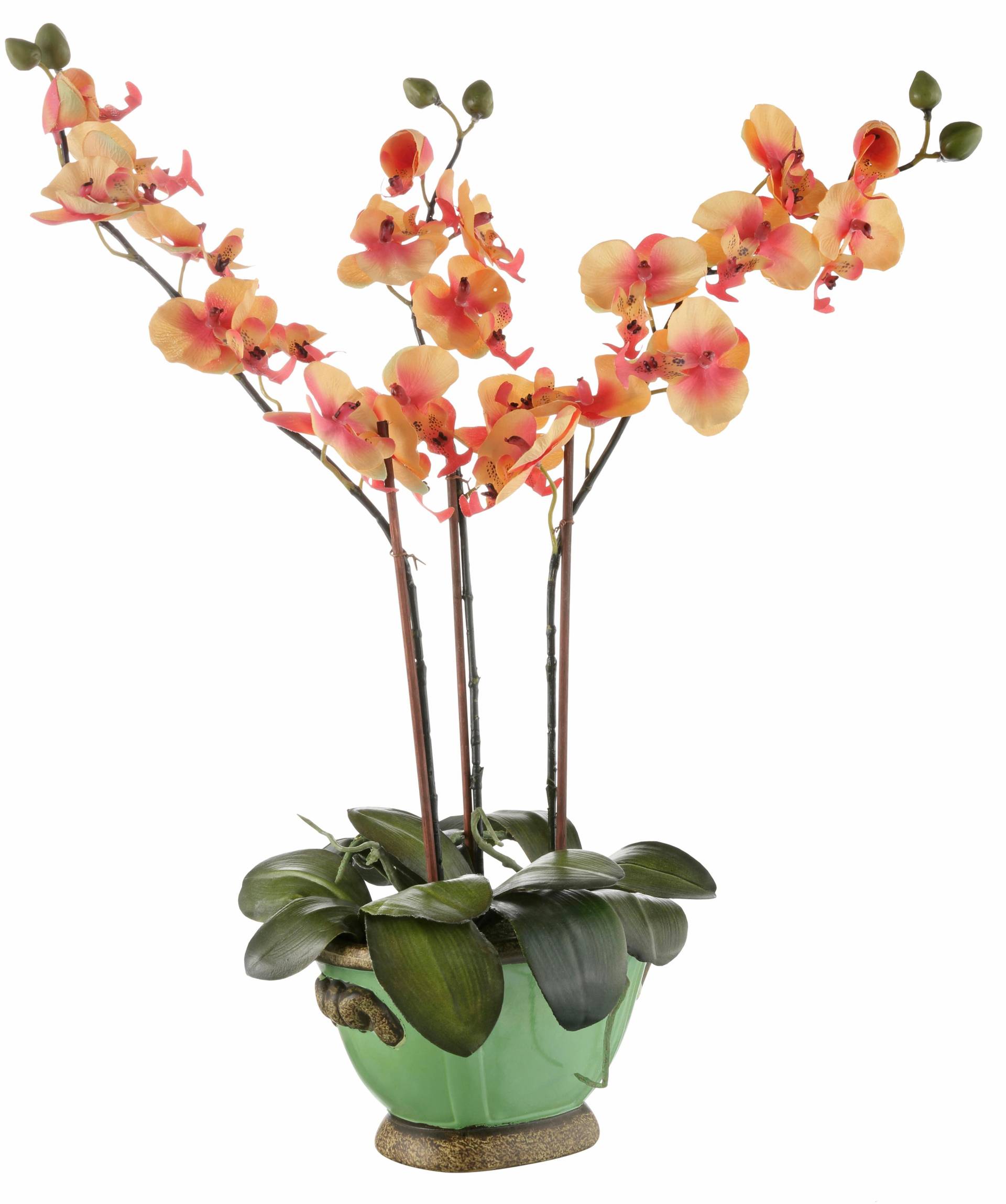 I.GE.A. Kunstpflanze »Orchidee« I.GE.A. Kunstpflanze »Orchidee« von I.GE.A.