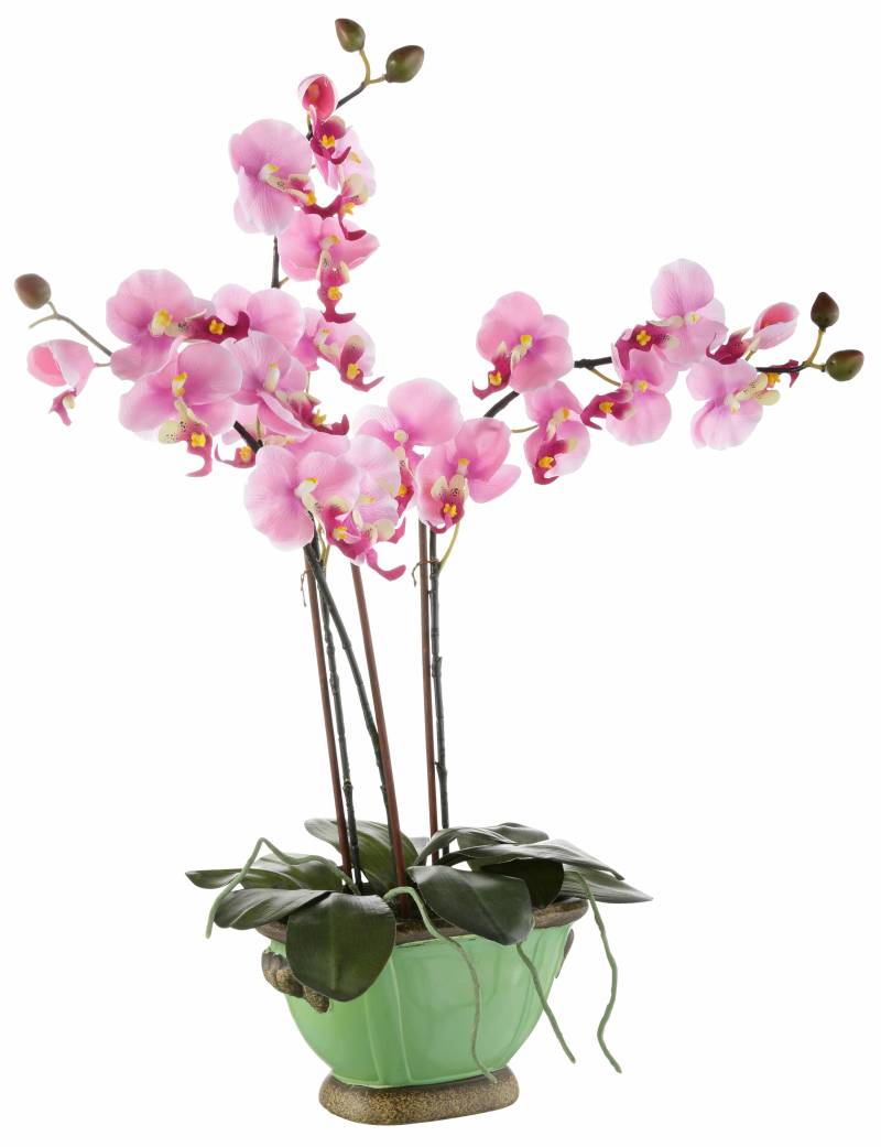 I.GE.A. Kunstpflanze »Orchidee« von I.GE.A.