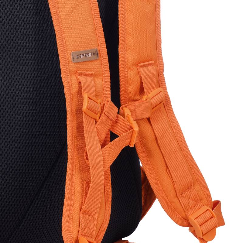 Icepeak Kinderrucksack »U RUCKSACK GLASCO« von icepeak