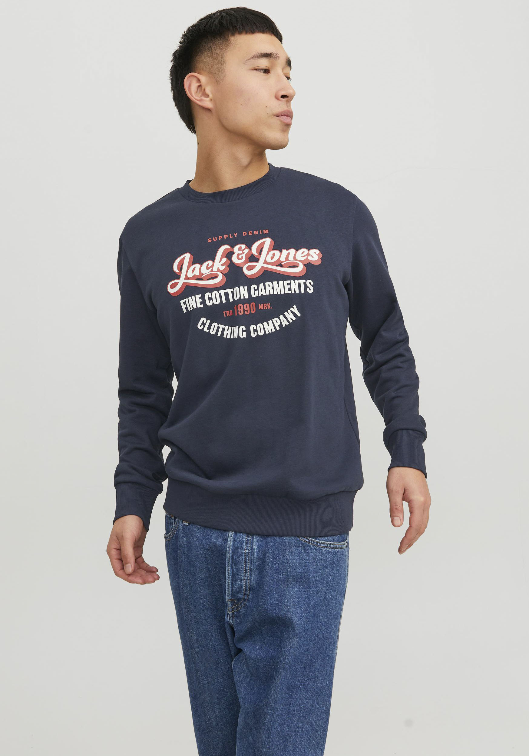 Jack & Jones Sweatshirt »JJ JJANDY SWEAT CREW NECK« von jack & jones