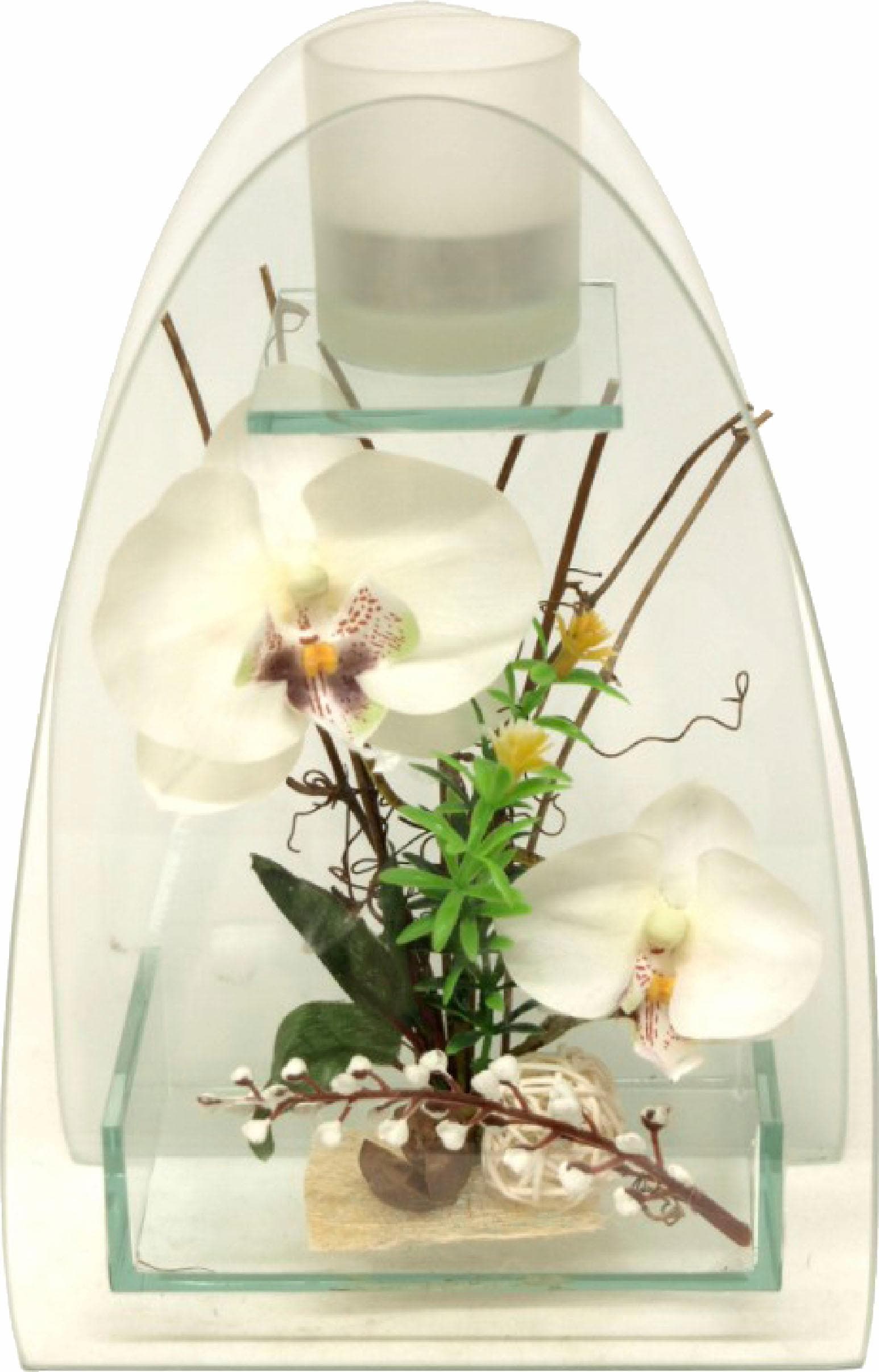 I.GE.A. Kunstpflanze »Orchidee mit Teelichthalter 23/15 cm« von I.GE.A.