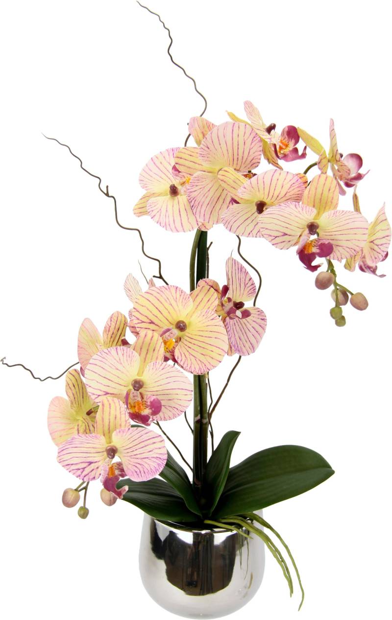 I.GE.A. Kunstpflanze »Phalaenopsis im Topf« von I.GE.A.