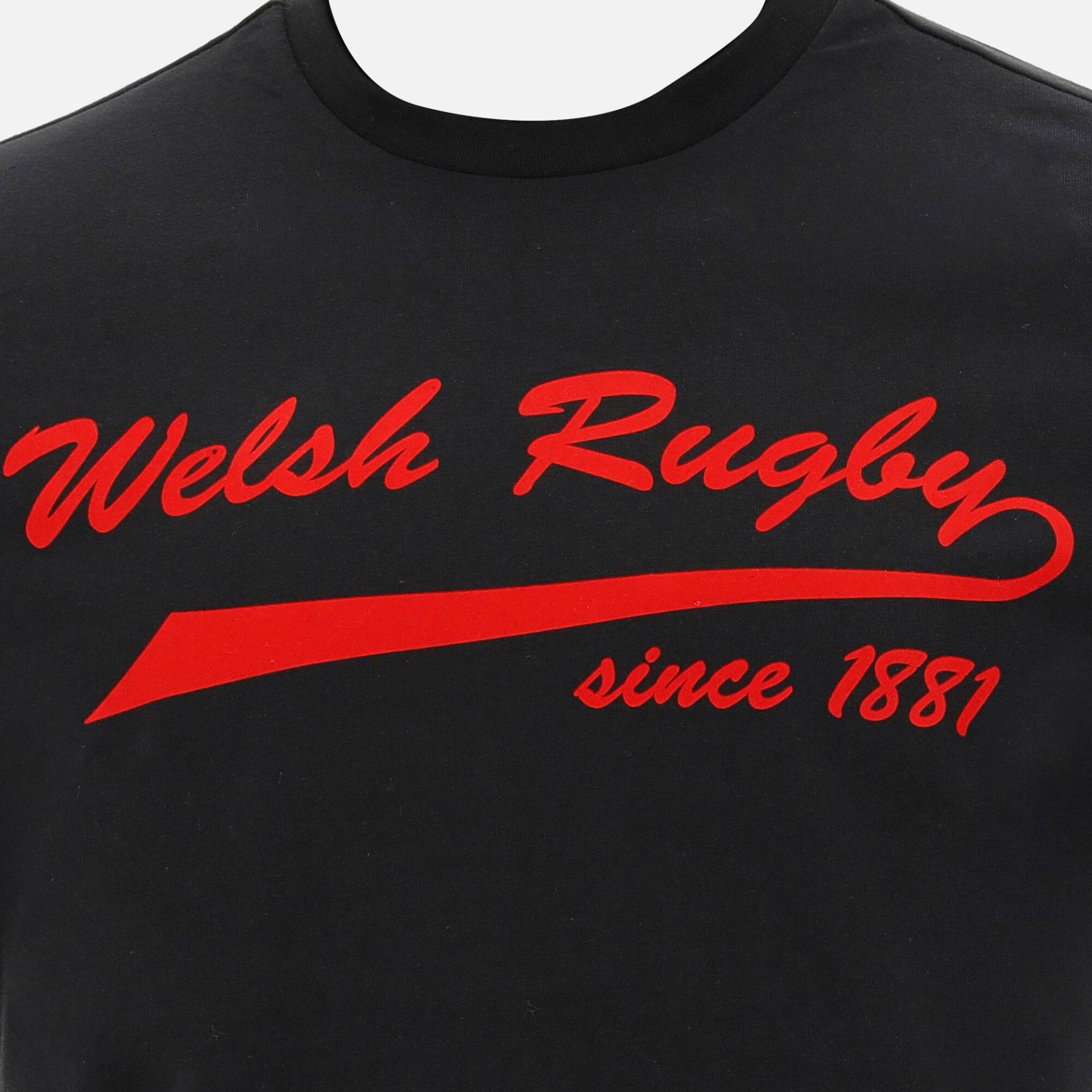 Baumwoll-t-shirt Pays De Galles Rugby 202021 Herren  L von macron