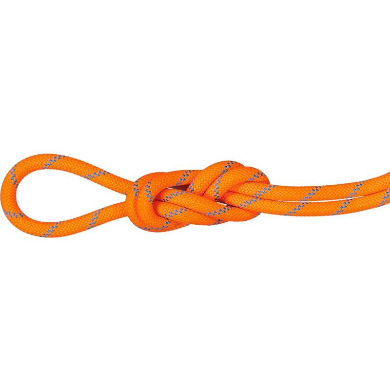 Mammut 8.7 Alpine Sender Dry Kletterseil von mammut