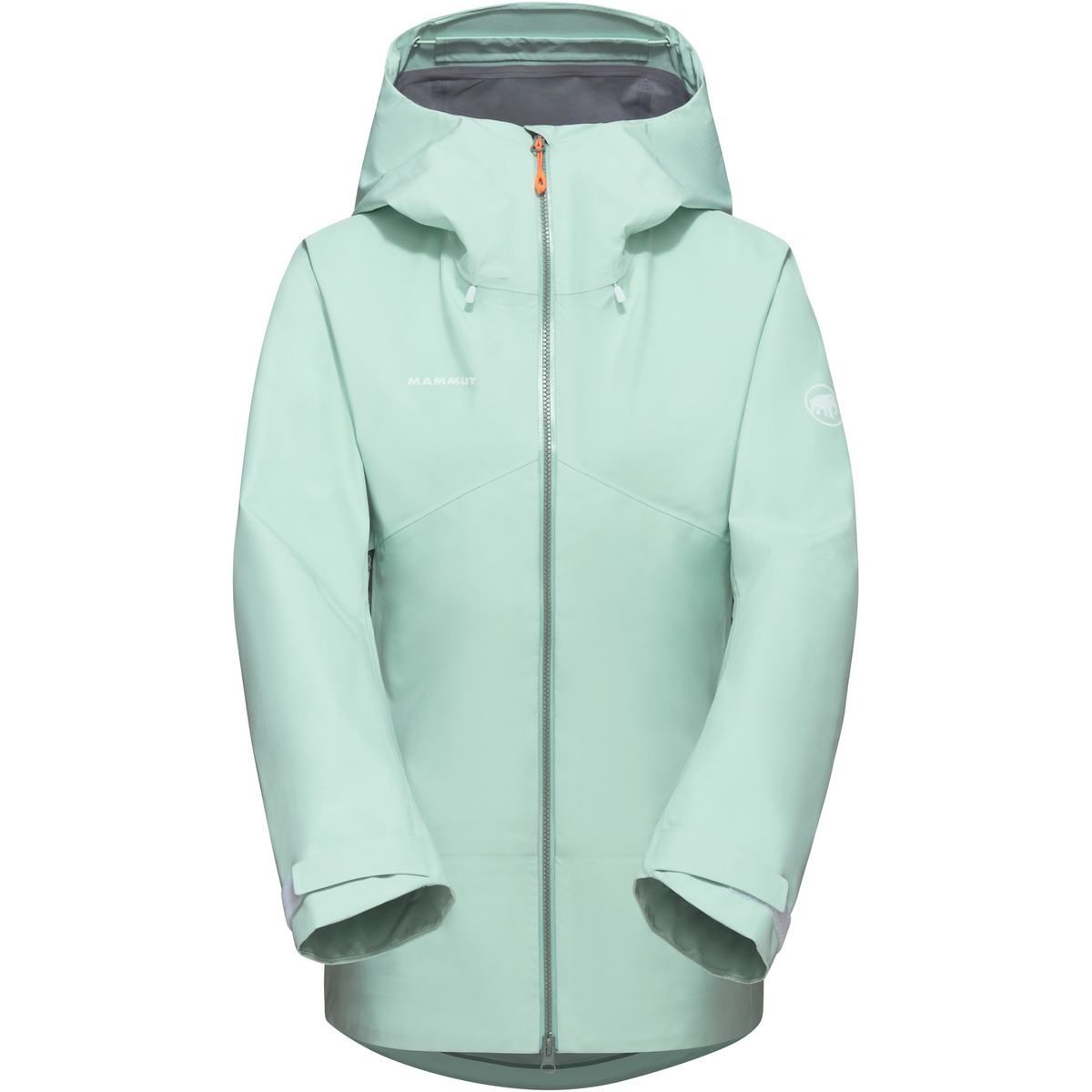 Mammut Damen Crater Hs Hoody GTX Jacke von mammut