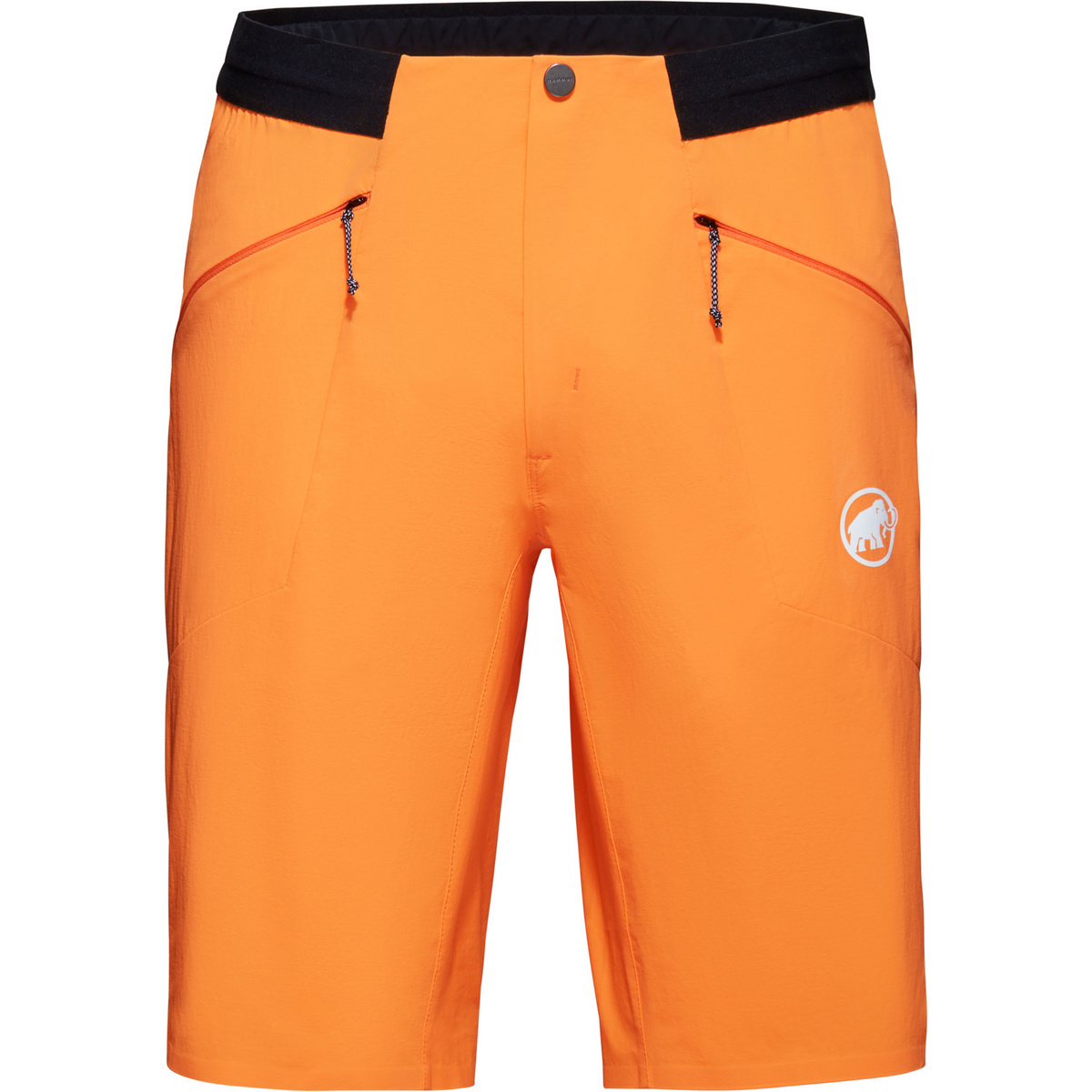 Mammut Herren Aenergy Light SO Shorts von mammut