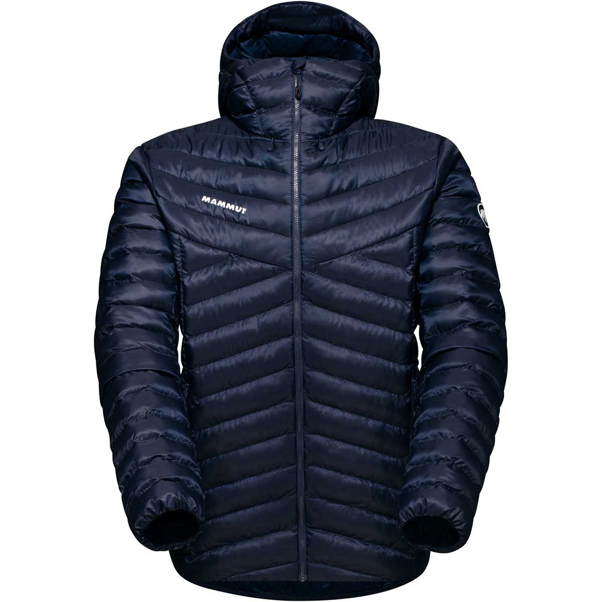 Mammut Herren Albula In Hoodie Jacke von mammut