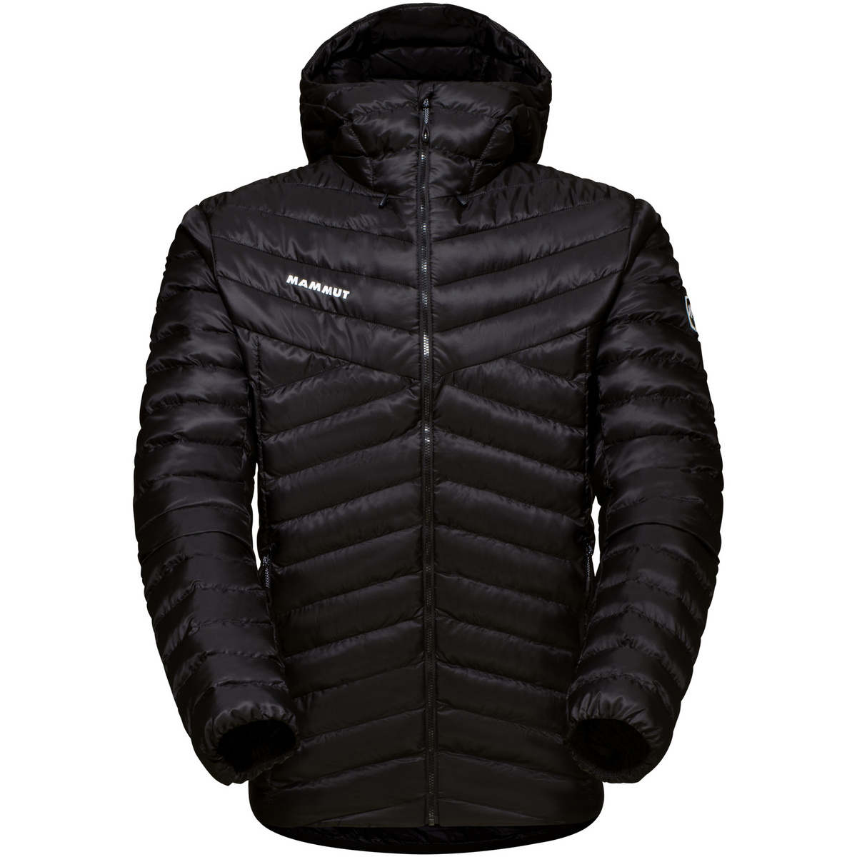 Mammut Herren Albula In Hoodie Jacke von mammut