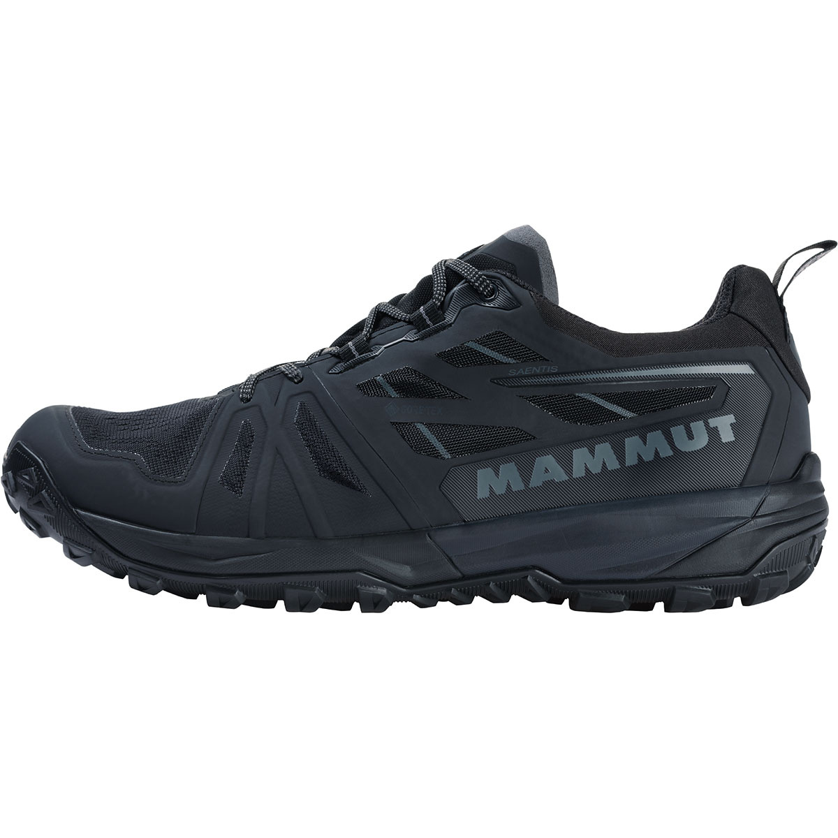 Mammut Herren Saentis Low GTX Schuhe von mammut