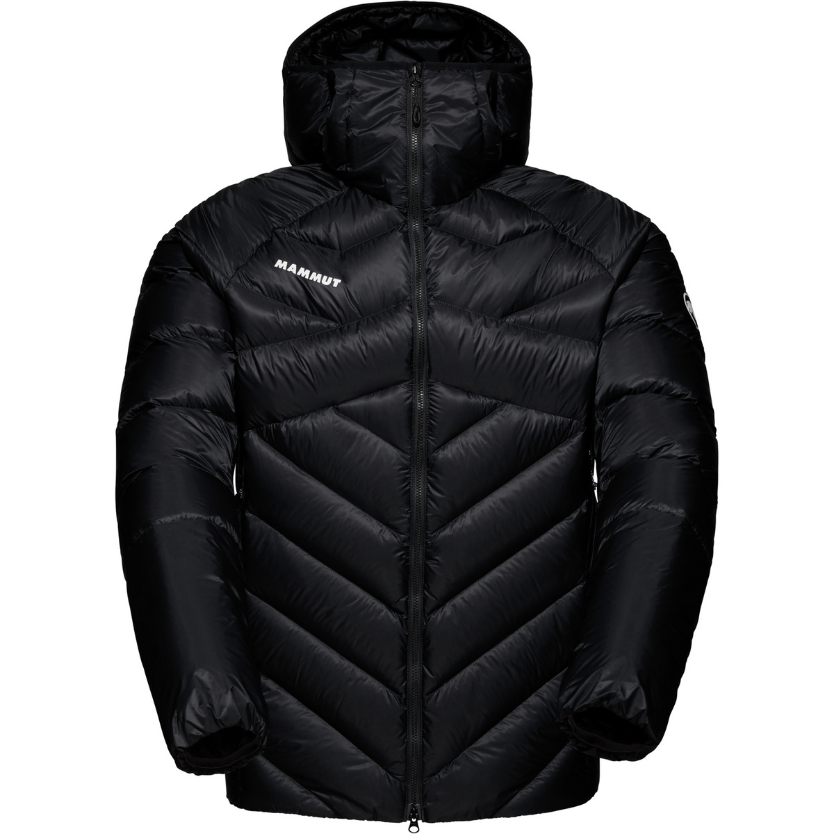 Mammut Herren Taiss In Hoodie Jacke von mammut