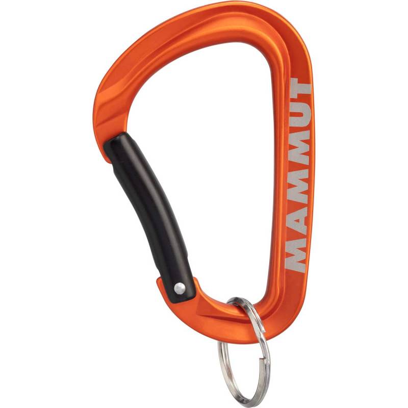 Mammut Mini Workhorse Keylock L Karabiner von mammut