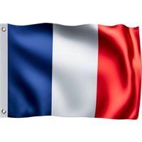 Flagge Frankreich 150x90cm von monzana®