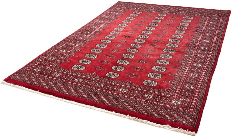 morgenland Orientteppich »Afghan - Buchara - 243 x 171 cm - dunkelrot«, rechteckig, 7 mm Höhe, Wohnzimmer, Handgeknüpft, Einzelstück mit Zertifikat von morgenland