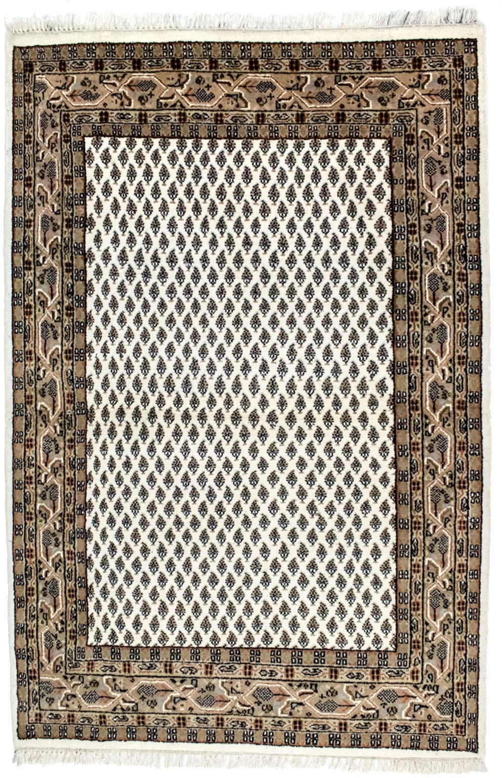 morgenland Wollteppich »Mir Teppich Assona«, rechteckig, 8 mm Höhe morgenland Wollteppich »Mir Teppich Assona«, rechteckig, 8 mm Höhe von morgenland